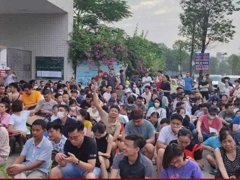 Phụ huynh Hà Nội xếp hàng xuyên đêm xin học lớp 1 cho con
