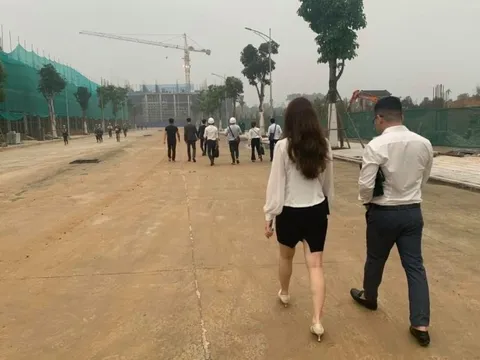 Chuyên gia tiết lộ phân khúc bất động sản sẽ tăng giá trong thời gian tới