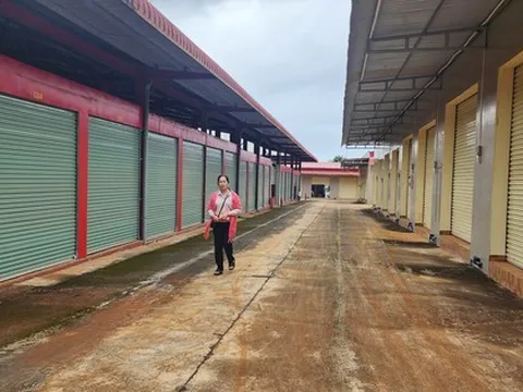 Chợ hàng chục tỉ đồng bỏ hoang, tiểu thương kêu cứu