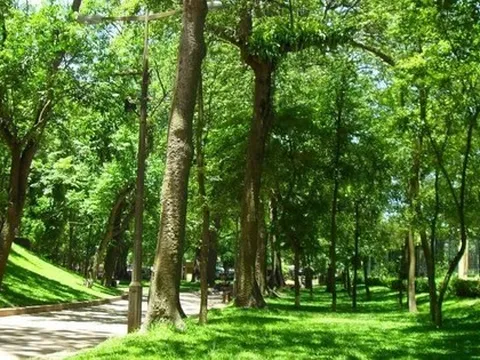 Hà Nội đề xuất xây dựng công viên rừng trên đất di dời nhà máy