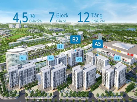 Lộ diện danh tính đại gia ngành giáo dục mạnh tay mua cả toà chung cư cao tầng