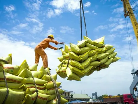 Xuất khẩu gạo đạt hơn 7 triệu tấn
