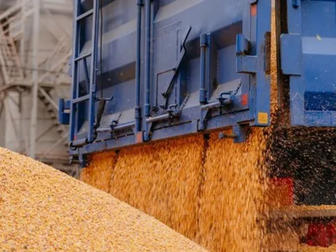 Thế chân Ấn Độ, hàng chục nghìn tấn hàng từ Lào đổ bộ Việt Nam - Nước ta có diện tích trồng top 30 thế giới vẫn chi tiền tỷ nhập khẩu