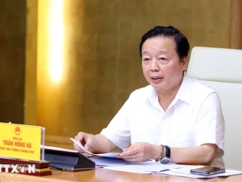 Phó Thủ tướng: Xây dựng dữ liệu khai thác thủy sản "đúng, đủ, sạch, sống"