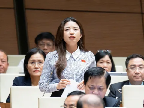 Đại biểu đề nghị cha mẹ chịu trách nhiệm nếu con đánh bạn học, thầy cô