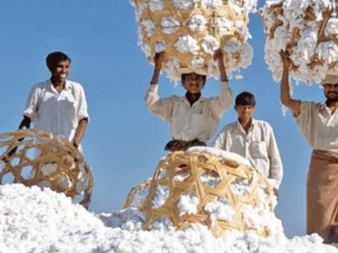 'Khách ruột' Mỹ chi hơn 13 tỷ USD chốt đơn mặt hàng này của Việt Nam, 66 quốc gia khác đua nhau săn mua