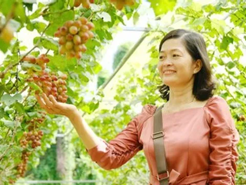 Anh nông dân Cần Thơ biến vườn nho 5.000m2 thành điểm du lịch xanh hút khách