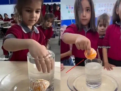 Thử thách lấy quả quýt ra khỏi cốc nước đầy, cả lớp chỉ duy nhất 1 học sinh làm được theo cách không ngờ