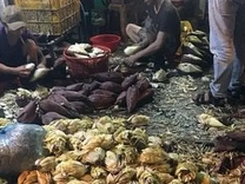 Làm gì để không ăn phải bắp chuối bào bị 'tắm' hóa chất?