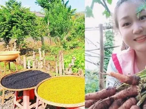 Bỏ phố về quê trồng rau, 9X tìm thấy bình yên giữa nắng gió Tây Nguyên