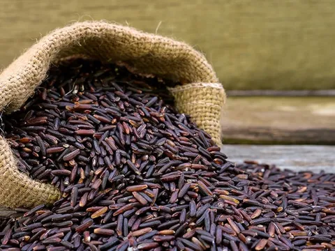 Loại gạo "quý" của người châu Á chống tiểu đường, cholesterol cực tốt