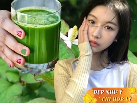 Người Việt có loại lá tốt ngang kem chống nắng, trị mụn hiệu quả đến Hòa Minzy cũng thích nhưng nhiều chị em không dám...