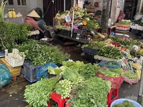 Rau xanh tăng chóng mặt ở chợ bán lẻ, nhiều bà nội trợ thở dài