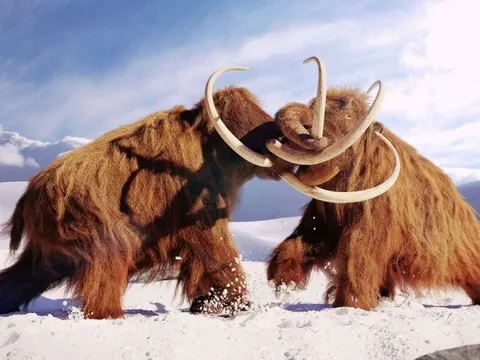 Chuyện gì đã xảy ra trong Kỷ Băng hà?