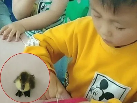 Lén bố mẹ mang quà đến trường mẫu giáo tặng cô, cậu học sinh vừa mở cặp sách đã khiến cả lớp cười xỉu