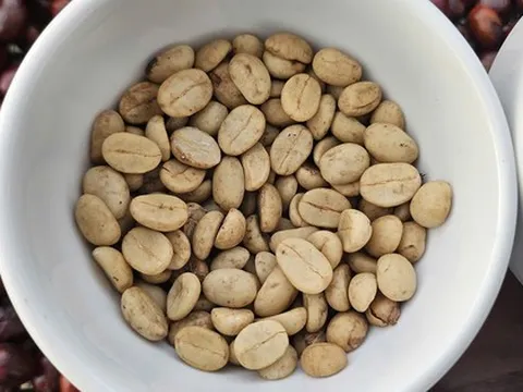 Giá cà phê hôm nay 23-11: Một tuần bão tố