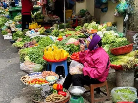 Rau tăng giá, người Hà Nội tự làm giá đỗ, rau mầm, thiết kế bữa ăn '3 món còn 2'