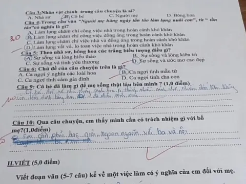 Bài kiểm tra tiếng Việt của học sinh tiểu học khiến giáo viên không thể cho điểm, 4 chữ viết về mẹ đầy xót xa