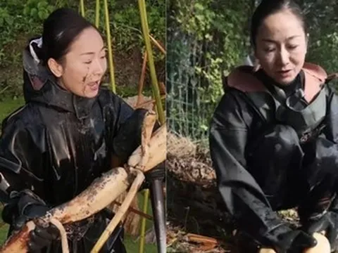 Nữ doanh nhân vỡ nợ hơn 18 tỷ đồng, lặn lội đào củ sen làm lại từ đầu