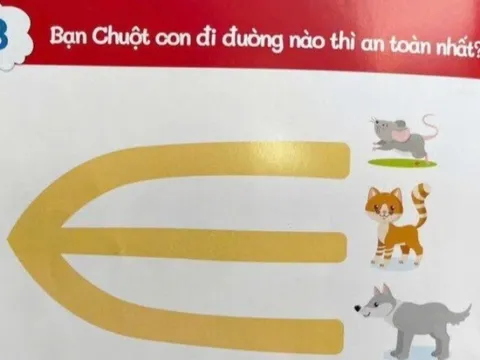 "Con chuột đi đường nào an toàn nhất?", câu trả lời quá bất ngờ của con khiến mẹ Việt "rụng tim"