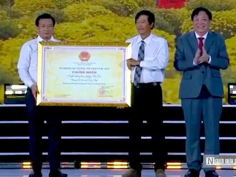 Khát vọng phát triển kinh tế di sản nhìn từ những khóm hoa Sa Đéc