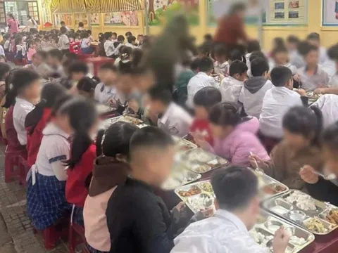 Tin mới nhất vụ học sinh tiểu học ở Huế nôn ói khi ăn trưa bán trú
