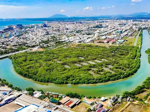 Lâm Đồng "đánh thức" gần 30ha đất ngập nước, tái sinh "lá phổi xanh" giữa đô thị