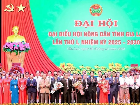 Bà Rơ Chăm H’Hồng được chỉ định giữ chức Chủ tịch Hội Nông dân tỉnh Gia Lai