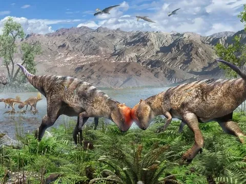 Những bóng hình kỳ lạ mới của đế chế khủng long