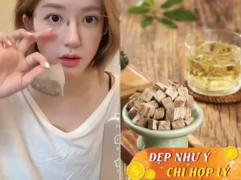 Thức uống làm từ “sâm của người nghèo” giúp Triệu Lộ Tư dưỡng nhan khi thức khuya, người Việt kiếm được dễ dàng