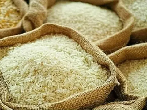 Giá gạo Ấn Độ chạm mức đỉnh ba tháng