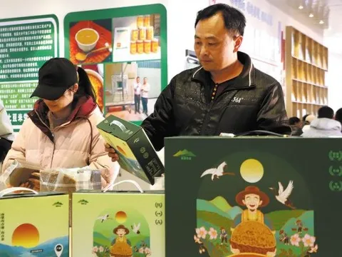 Phát minh của Trung Quốc làm rung chuyển ngành lương thực: Tạo ra giống gạo khoai tây thay thế gạo truyền thống, tăng 27% hàm lượng protein so với thông thường