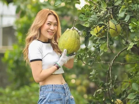 Thành quả không ngờ bên trong nhà vườn của Mỹ Tâm sau 4 năm