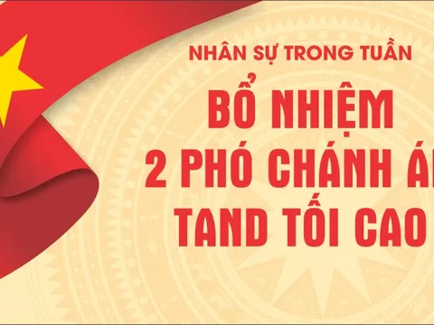 Infographic nhân sự trong tuần: Bổ nhiệm 2 Phó chánh án TAND Tối cao