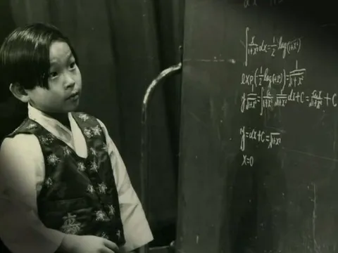 Chuyện gì xảy ra với thiên tài IQ 210 của Hàn Quốc?