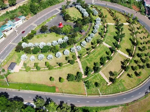 Đề nghị truy tố Chủ tịch HĐQT Công ty cây xanh Công Minh