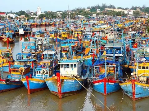Thủ tướng chỉ đạo lập đoàn kiểm tra chống IUU, Bộ Công an điều tra dứt điểm vụ lô hàng cá cờ kiếm