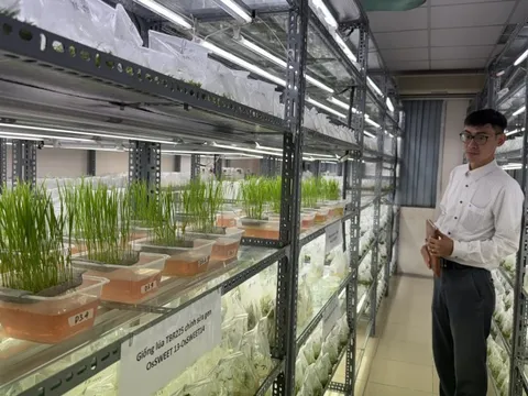 Khoa học công nghệ dẫn dắt nông nghiệp Việt Nam vượt “giới hạn” tăng trưởng truyền thống