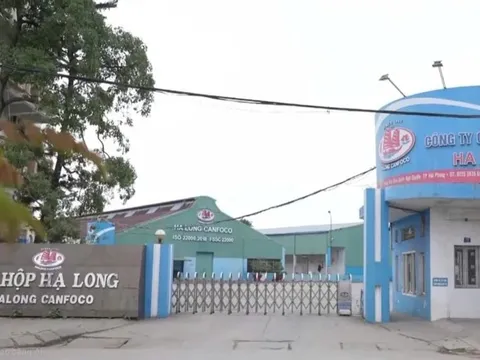 Bị ngừng việc, người lao động Công ty đồ hộp Hạ Long được hỗ trợ thế nào?