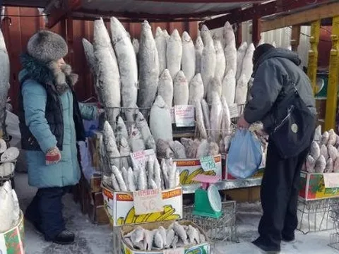 Không phải dầu thô hay khí đốt, một mặt hàng của Nga được người châu Âu cực mê: Chi hơn 700 triệu euro mua hàng, giá cao nhất trong nhiều năm