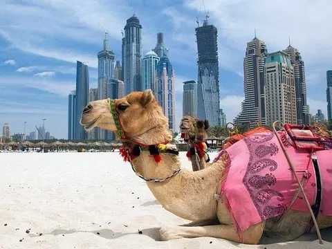 U23 Việt Nam gặp UAE ở tứ kết: Điều thú vị về đất nước này