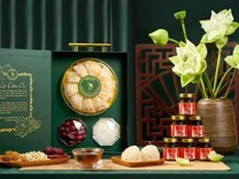 Thượng Long Yến: Hành trình đưa yến sào đến gần hơn với người Việt