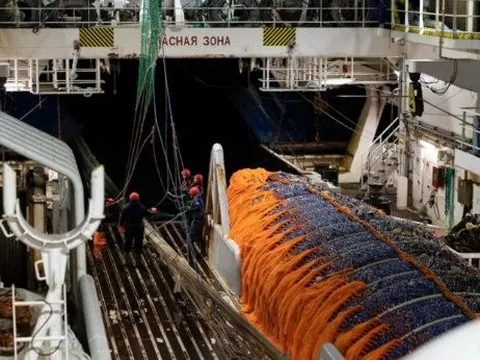 Nga đón tin vui chưa từng có ngay tại láng giềng Việt Nam