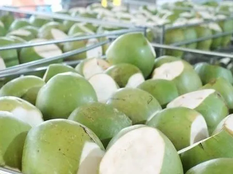 Không phải sầu riêng, một báu vật triệu đô của Việt Nam khiến Trung Quốc, Mỹ cực mê: xuất khẩu hơn 1 tỷ USD, diện tích trồng gần 200.000 ha