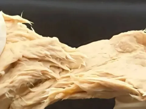 Phát minh của Trung Quốc làm rung chuyển ngành thực phẩm: Chế tạo ra nấm biến đổi gen vị giống thịt, sử dụng ít hơn 70% đất so với chăn nuôi truyền thống