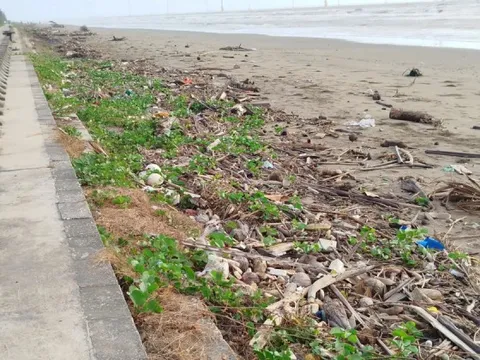 Nhếch nhác khu du lịch Ba Động nổi tiếng