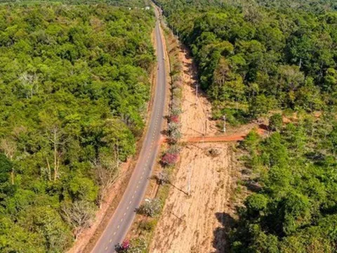 “Anh cả” siêu dự án đại lộ ven sông Hồng 855.000 tỷ đồng được chấp thuận là nhà đầu tư đề xuất tuyến đường xuyên rừng 13km tại Đồng Nai