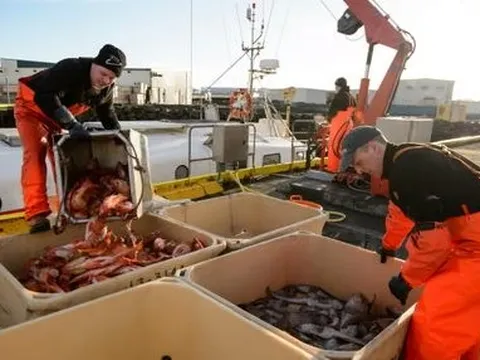 Nga đón tin vui từ Hàn Quốc