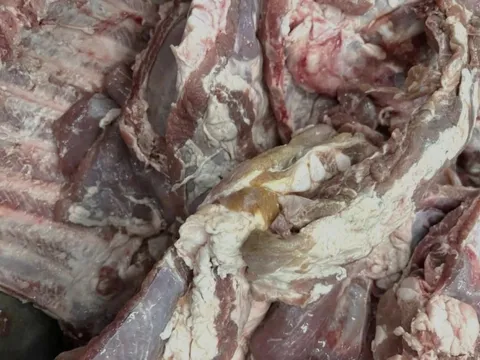 Thiếu đạo đức khi để thịt heo không tươi vào trường học ở TP.HCM