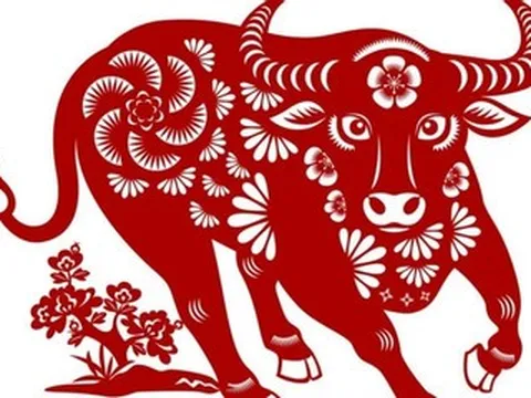 Tử vi tuổi Sửu năm Bính Ngọ 2026: Tài lộc biến động mạnh, có quý nhân nâng đỡ